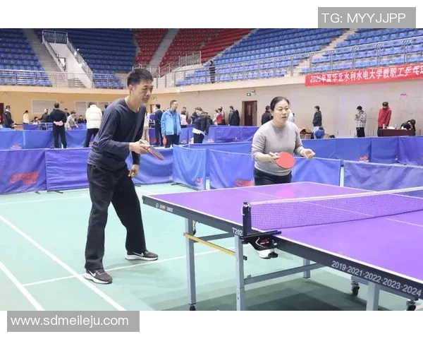 乒乓球盛宴：深入了解深圳乒乓球队的团队协作与默契配合之道